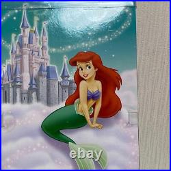 Disney Parks Exclusive The Little Mermaid Ariel Aladdin Jasmine 2-piece set NEW
