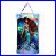 Disney_Parks_Limited_Edition_Ariel_The_Little_Mermaid_Live_Action_Doll_BRAND_NEW_01_ov
