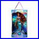 Disney_Store_Ariel_Limited_Edition_Doll_The_Little_Mermaid_Live_Action_Film_01_whoi