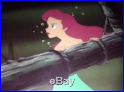 Disney's Little Mermaid Ariel First Apperance Framed Production cell w Seal